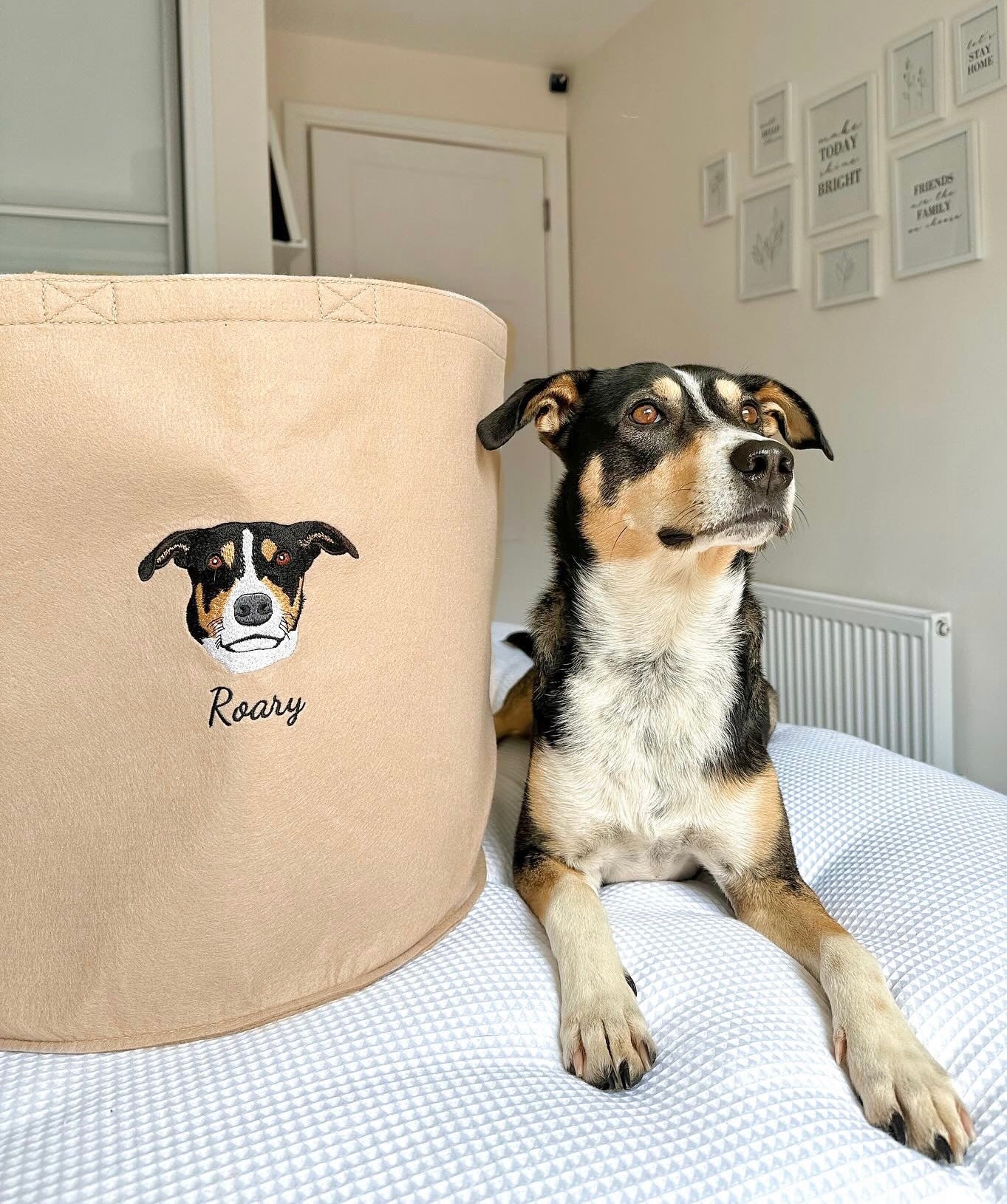 Pet Supplies Dog Blanket Personalized Personalized Cozy Fleece Dog